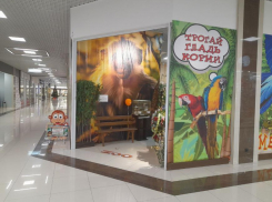 «Блокнот» побывал в «Тропическом раю», чтобы узнать, как чувствуют себя животные