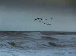 Внимание! На Новороссийск надвигается непогода