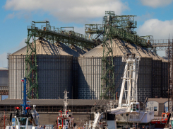 “Новороссийский зерновой терминал” попросили возместить ущерб, причиненный Черному морю