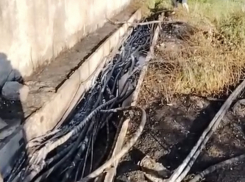 Доколе? Тысячи новороссийцев продолжают сидеть без электричества 