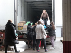 Новороссийцы продолжают собирать гуманитарную помощь для беженцев из ДЛНР
