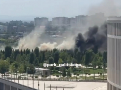 В парке Галицкого в Краснодаре потушили пожар: аномальная жара испытывает юг огнём 
