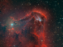 Гороскоп от “Блокнота” на 15 июня: Водолеям стоит проявить себя, а Стрельцам — познакомиться с новыми людьми