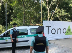 «Устроили публичную травлю», - предприниматель о том, как власти Новороссийска кошмарят бизнес