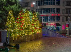 Где новороссийцы встретят Новый год и как планируют провести зимние каникулы