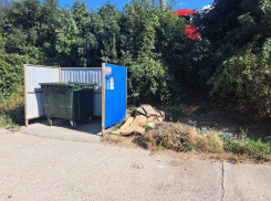 «Почему опять не убрали ветки?» - кто убирает деревья и ветки у мусорных баков в Новороссийске 