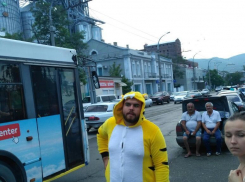 Новороссийцы запасаются поп-корном: отдыхающие продолжают шокировать аборигенов