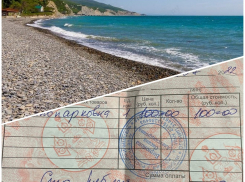 “Ужасный пляж, начиная от входа в воду, заканчивая персоналом”: жительница Новороссийска о Южной Озереевке 