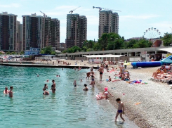 Сегодня в Новороссийске стартовал купальный сезон: где можно и нельзя купаться