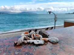 Тельцам трудолюбие принесет плоды, а Скорпионы займутся переоценкой ценностей