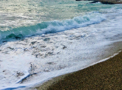 Самый чистый пляж Новороссийска: жители и туристы выбирают, где лучше отдыхать 