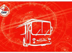 Новороссийцам необходимо заменить свои льготные транспортные карты