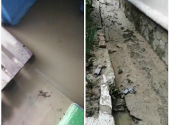 Вода в подъезде, шлак во дворе: новороссийцы вынуждены сами убирать последствия дождя