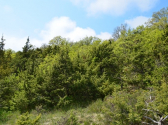 Вопреки всем запретам в Мысхако могут вырасти новые высотки