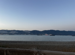 Погода в Новороссийске: +31 по ощущениям и солнечно