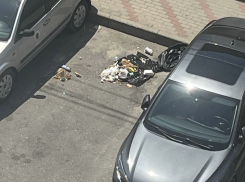 Платная парковка по-новороссийский: паркуйся хоть в свалке, хоть в луже 