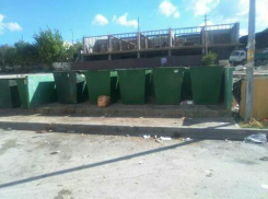 Новороссийцам не дали утонуть в мусоре