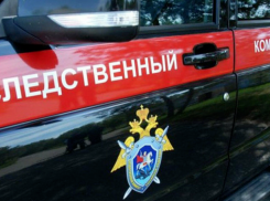 СК России намеревается привлечь к ответственности причастных к убийствам жителей Донбасса