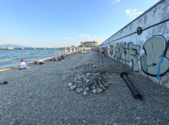 «Усы и хвост – вот мои документы»: новороссийцы просят привлечь к ответственности причастных к вырытой яме