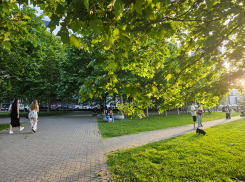 Гороскоп от «Блокнота»: Тельцам действовать последовательно, а Водолеям пробовать новое