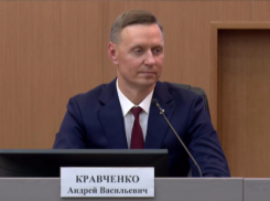 «Буду контролировать лично»: глава Новороссийска ответил, когда в Борисовке построят поликлинику