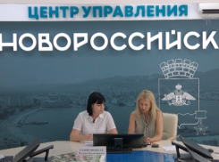 Новороссийцев на бумаге нет, а мусор от них есть: в «ЭкоЮге» объяснили, откуда столько мусора в городе 