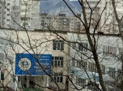 Драка между новороссийскими школьниками стала инструментом решения проблем взрослых