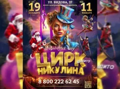 Цирк Никулина в Новороссийске: Новогоднее цирковое шоу продолжается