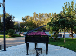 Погода в Новороссийске: ранним утром +6, но к обеду приятно потеплеет 