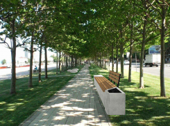 Форумную площадь в Новороссийске преобразят за 7 миллионов рублей