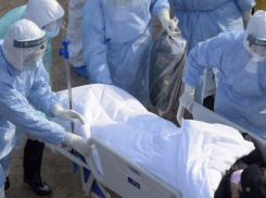 Коронавирус не сдаётся: количество заражённых в Новороссийске растёт