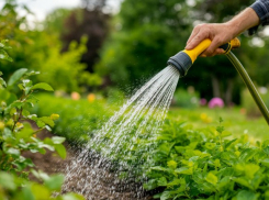 «Не поливайте огород питьевой водой»: «Водоканал» о замене труб в Новороссийске и водоснабжении района 