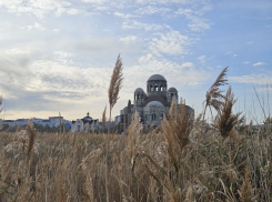 Храм, дендропарк и Прилагунье: сколько денег понадобится Новороссийску   
