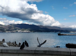 Стреляют в Новороссийске сегодня не только в порту