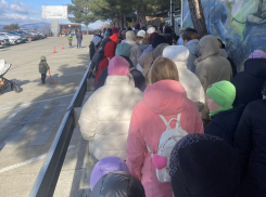 Зато бесплатно: новороссийцы встали в долгую очередь в «Сафари-парке» в Геленджике 