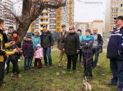 Через 100 лет Пионерская роща в Новороссийске превратится в дубраву