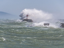 Ограничение движения и первые пострадавшие: в Новороссийске бушует норд-ост