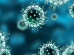 Резкий скачок заболевания коронавирусом зафиксирован в Новороссийске: 20 положительных тестов за сутки 