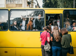 Из Приморского района в центр Новороссийска запустят новые автобусы 