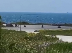 Новороссийцы не могут в жару открыть окна из-за поросячьего автомобильного визга 