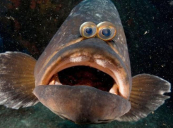 Гороскоп на 30 октября: рыбы будут увлечены своим внутренним «я»