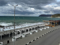 Лето началось: как дела на пляжах Новороссийска