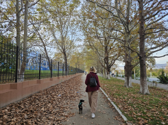 Гороскоп от «Блокнота»: Раки захотят приключений, а Тельцы расслабиться