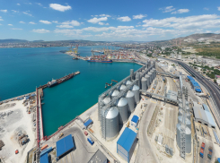 Новороссийский зерновой терминал намусорил в Чёрном море на 850 тысяч рублей