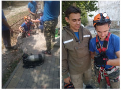 Маленького котенка спасли в Новороссийске из ливневки