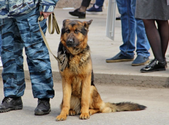 Пропавшую школьницу нашли в 550 километрах от дома в Новороссийске