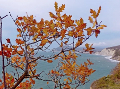 В пятницу в Новороссийске станет чуть теплее 