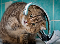 Сегодня в Южном районе Новороссийска не будет воды