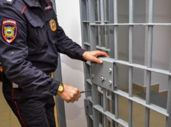 Новороссийский дебошир чуть не покалечил полицейского 