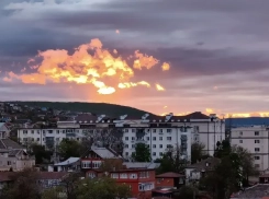 Рыбам пора действовать решительно, а Тельцам захочется перемен